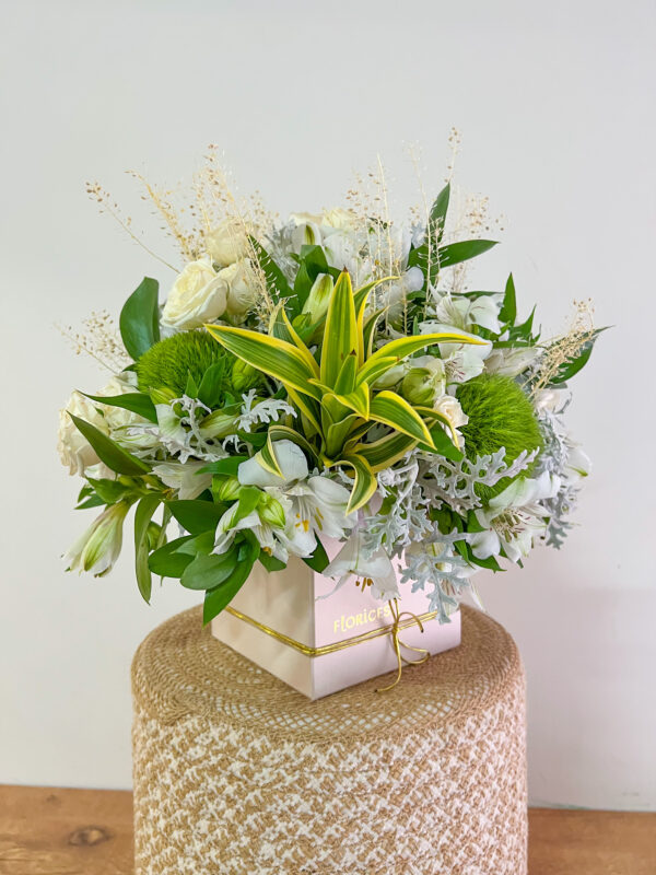 BOX DE FLORES GOIÂNIA