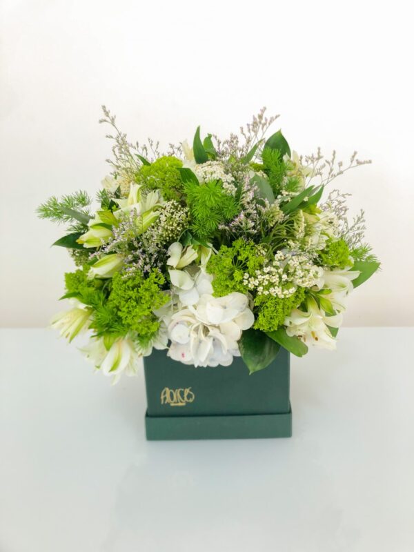 BOX DE FLORES GOIÂNIA